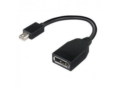 Lenovo Mini-DisplayPort to DisplayPort Adapter