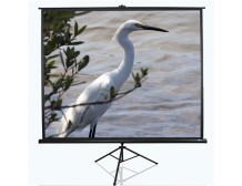 Elite Screens Tripod Series T100UWV1 Diagonal 100 ", 4:3, Viewable screen width (W) 203 cm, Black