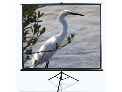 Elite Screens Tripod Series T100UWV1 Diagonal 100 ", 4:3, Viewable screen width (W) 203 cm, Black