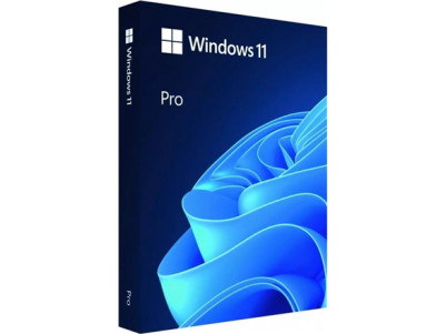 Microsoft Windows 11 Pro HAV-00163, USB Flash drive, Full Packaged Product (FPP), 64-bit, English