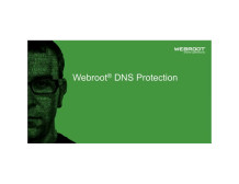 Webroot DNS Protection with GSM Console, 1 year(s), License quantity 1-9 user(s)