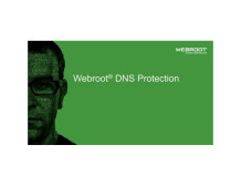 Webroot DNS Protection with GSM Console, 2 year(s), License quantity 1-9 user(s)