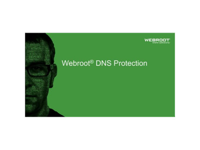 Webroot DNS Protection with GSM Console, 2 year(s), License quantity 1-9 user(s)