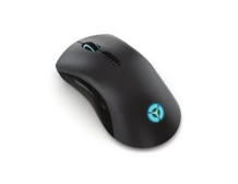 Lenovo Wireless Gaming Mouse Legion M600 2.4 GHz, Bluetooth or Wired by USB 2.0 Optical Mouse 1 year(s) Black