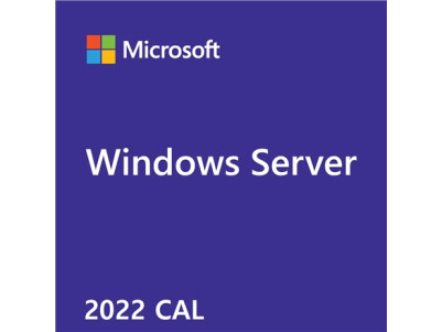 Microsoft Windows Server CAL 2022 OEM R18-06466 English 5 User CAL Licence