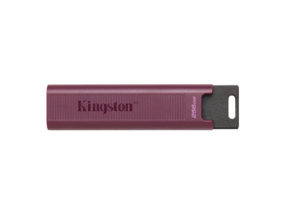 Kingston USB 3.2 Flash Drive DataTraveler MAX 512 GB USB 3.2 Gen 1 Type-A