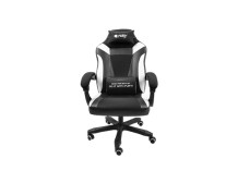 Fury Gaming Chair Fury Avenger M+ PU Leather | Black/White