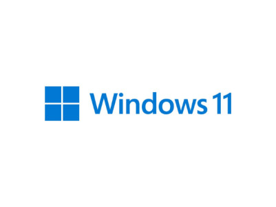 Microsoft | Windows 11 Pro | HAV-00163 | English | FPP | USB | 64-bit