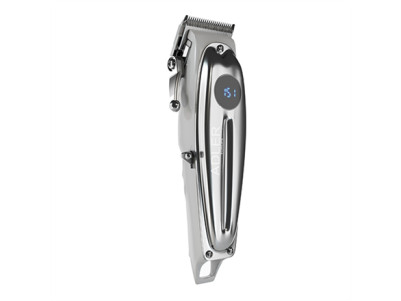 Adler | Proffesional Hair clipper | AD 2831 | Cordless or corded | Number of length steps 6 | Silver