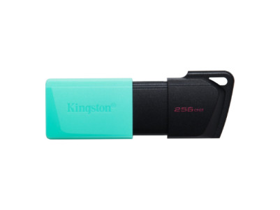 Kingston | USB Flash Drive | DataTraveler Exodia | 256 GB | USB 3.2 Gen 1 | Black/Teal