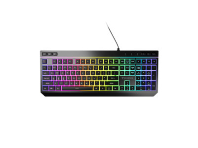 Genesis Rhod 530 | Mechanical Gaming Keyboard | Wired | US | Black | USB Type-A