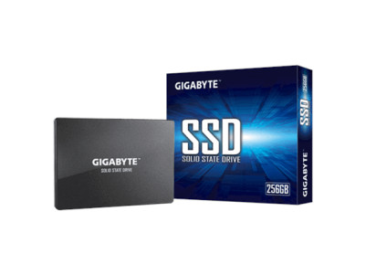 Gigabyte | GP-GSTFS31256GTND | 256 GB | Solid-state drive interface SATA | Read speed 520 MB/s | Write speed 500 MB/s