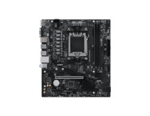 MSI PRO A620AM-B EVO | MSI