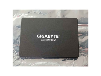 Gigabyte | GP-GSTFS31256GTND | 256 GB | Solid-state drive interface SATA | REFURBISHED, WITHOUT ORIGINAL PACKAGING | Read speed 