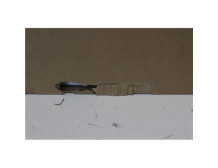 LG SALE OUT. | 34U650A-B | 34 " | IPS | 21:9 | 100 Hz | 5 ms | 3440 x 1440 pixels | 300 cd/m | HDMI ports quantity 2 | Warranty 