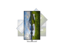 Dell P3225QE | 32 " | IPS | 4K UHD | 16:9 | 100 Hz | 5 ms | 3840 x 2160 pixels | 350 cd/m | HDMI ports quantity 1 | Warranty 60 