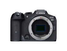 Canon | D.CAM EOS R7 BODY EU26 | Megapixel 32.5 MP | Image stabilizer | ISO sensitivity (max) 51200 | Wi-Fi | Video recording | 